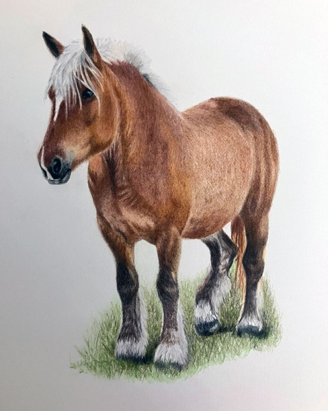 fran-boxall-commissioned-horse